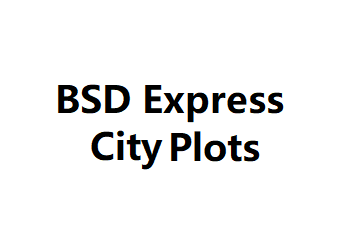 BSD Express City Plots